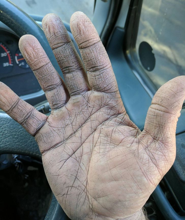 Illustration de l'article : 20 fascinating photos that provide an insight into different professions