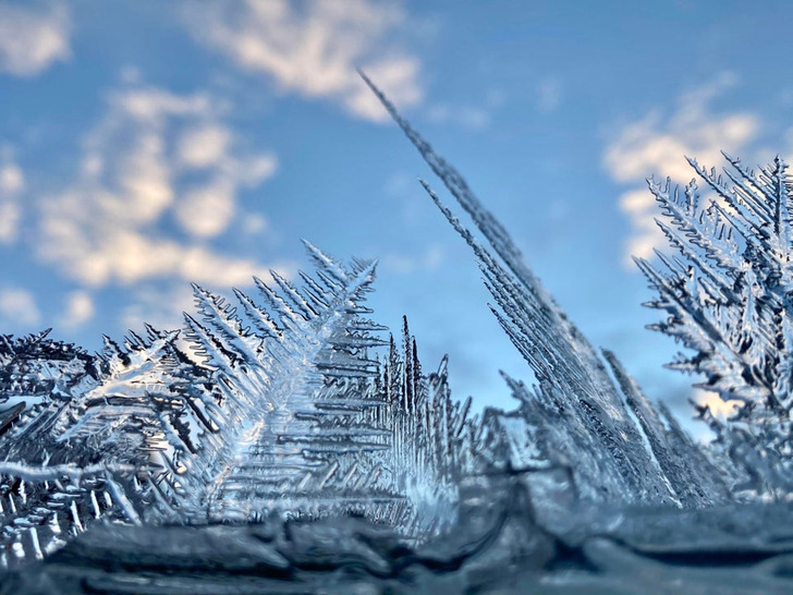 Illustration de l'article : 20 photos that illustrate the beauty of icy winters
