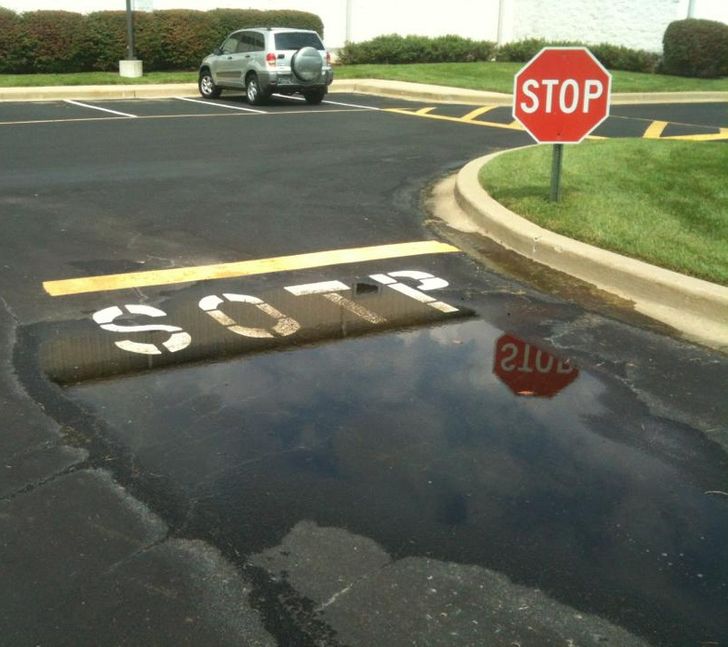 Illustration de l'article : 16 people who were determined to do things their own way