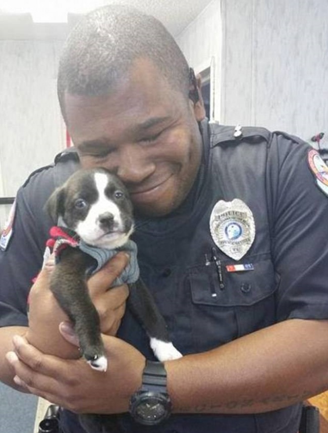 Illustration de l'article : 28 heart-warming acts of kindness that will restore your faith in humanity