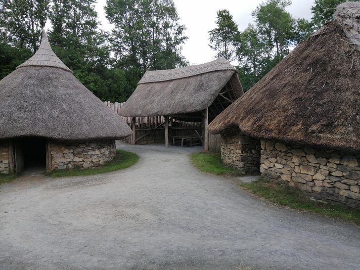 Illustration de l'article : 20 people who returned home with an unforgettable memory of their vacation