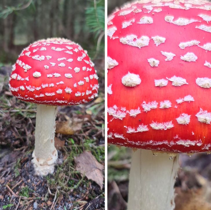 Illustration de l'article : 17 times Mother Nature showed off her works of art