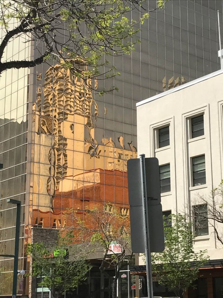 Illustration de l'article : 15 photos of amazing accidental art