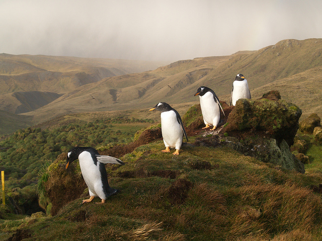 Illustration de l'article : 19 idyllic places untouched by mass tourism