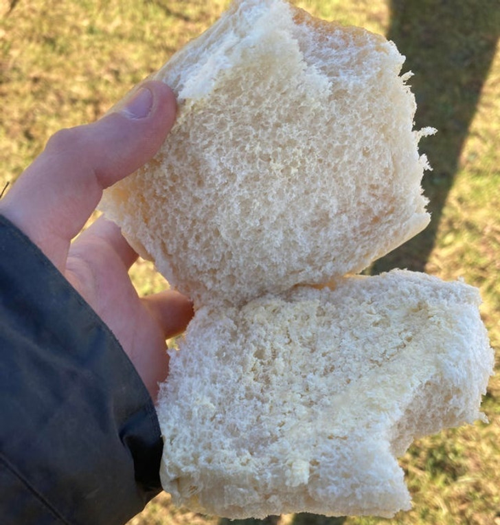 Illustration de l'article : 18 people who bring meaning to "having a bad day"