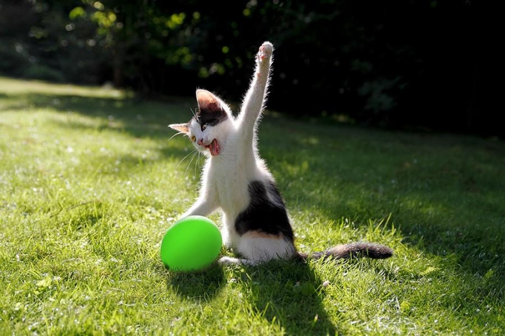 Illustration de l'article : 21 unlikely photos taken just before a catastrophe!