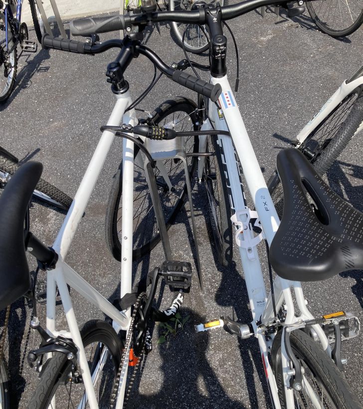 Illustration de l'article : 20 people who snapped and shared a nasty surprise