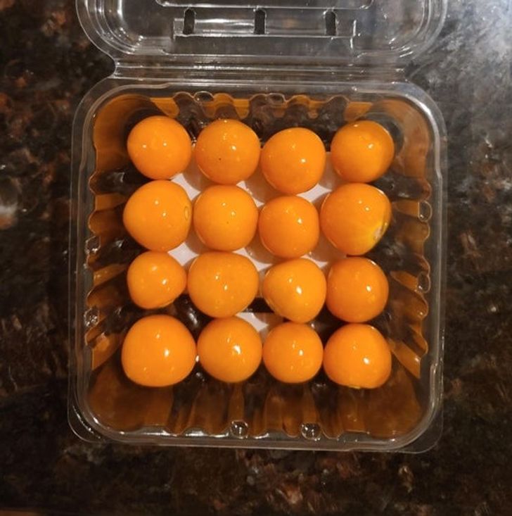 Illustration de l'article : 19 photos that illustrate the beauty of nature