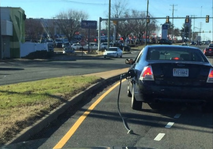 Illustration de l'article : 19 crazy sights caught on camera