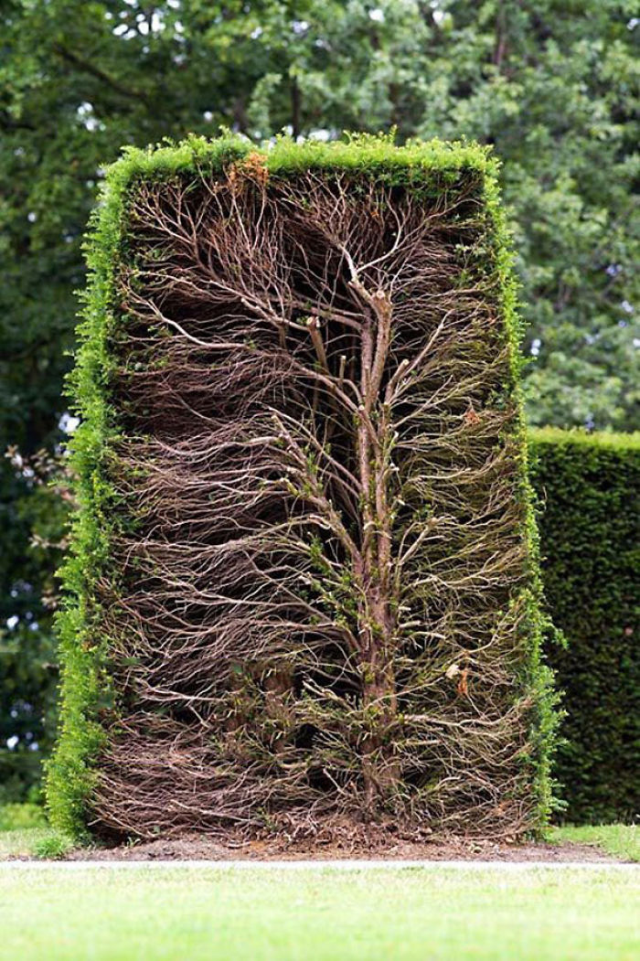 Illustration de l'article : 20 impressive photos reveal the hidden side of things