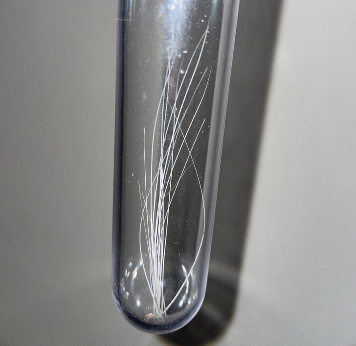 Illustration de l'article : 20 photos of weird and wonderful collections that people have treasured over the years