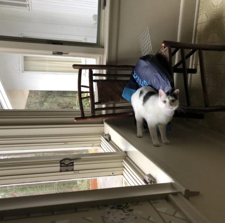 Illustration de l'article : 16 photos that will totally mess with your brain