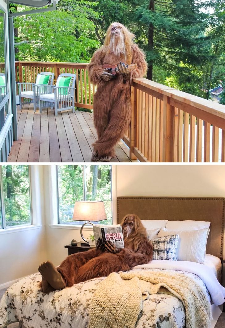 Illustration de l'article : 18 interesting things people discovered in houses