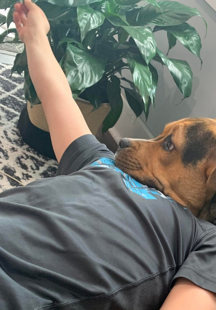 Illustration de l'article : 20 photos that will make you look twice