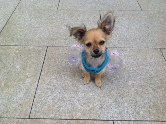 Illustration de l'article : 24 people who refused to be beaten by life's little hiccups