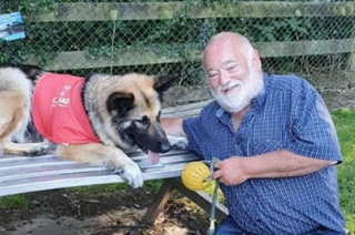 Illustration de l'article : Vidéo : Contraint d’abandonner sa chienne après un AVC, ce retraité retrouve sa joie en rencontrant un Berger Allemand de thérapie