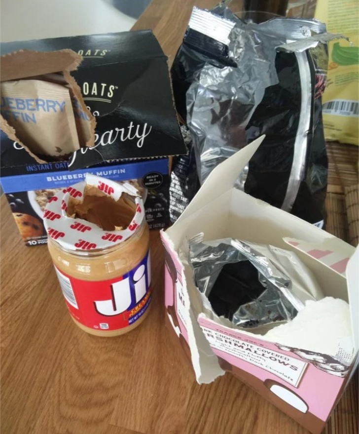 Illustration de l'article : 13 truly exasperating situations caught on camera