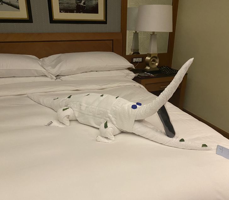 Illustration de l'article : 18 people who were overjoyed by a stroke of good luck