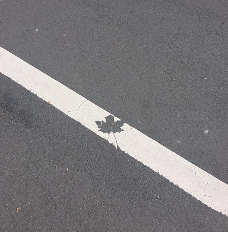 Illustration de l'article : 16 people who were determined to do things their own way