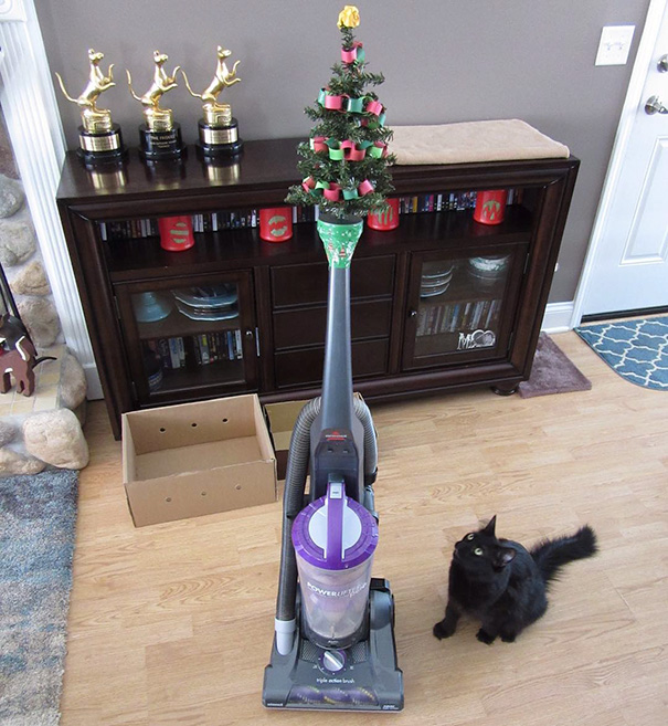 Illustration de l'article : 20 genius ways to stop your pet from destroying your Christmas tree!