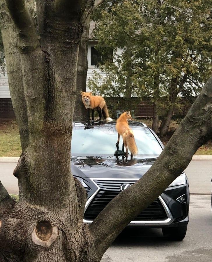 Illustration de l'article : 15 people who had a really bad day and decided to share their misery