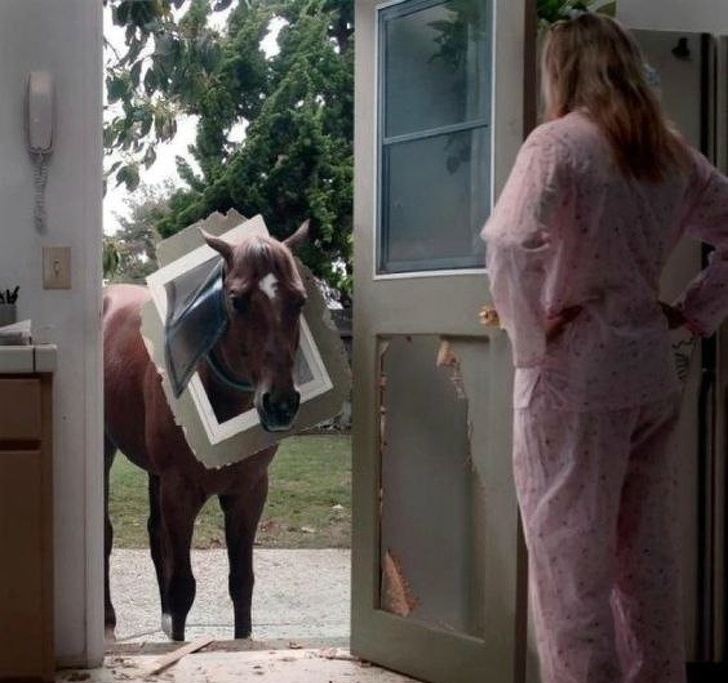 Illustration de l'article : 25 people who certainly had a day to remember