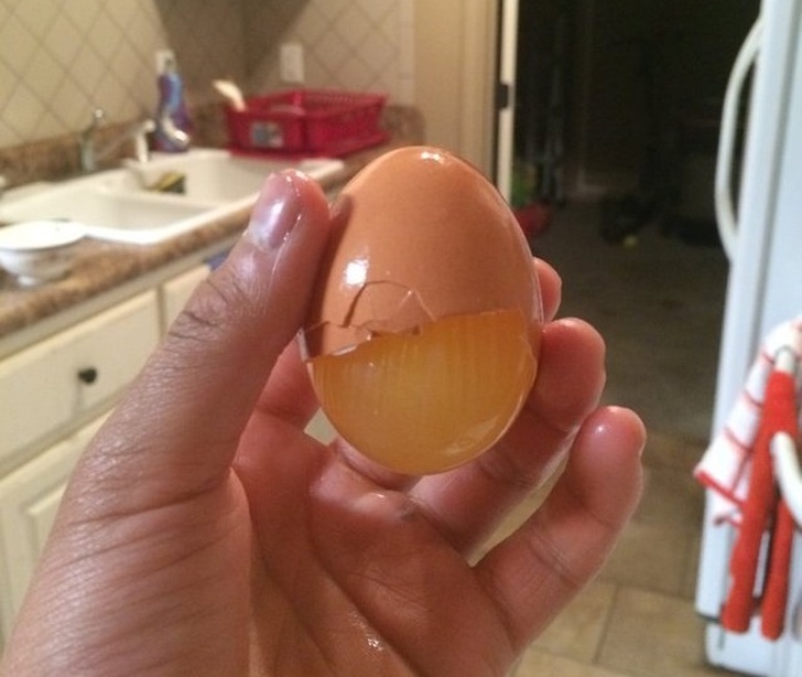 Illustration de l'article : 20 photos snapped at exactly the right moment