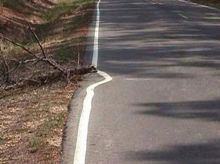 Illustration de l'article : 21 photos that define laziness