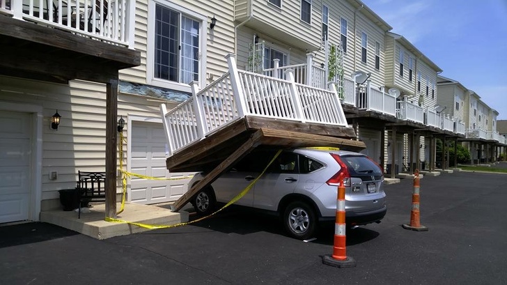 Illustration de l'article : 25 people who certainly had a day to remember