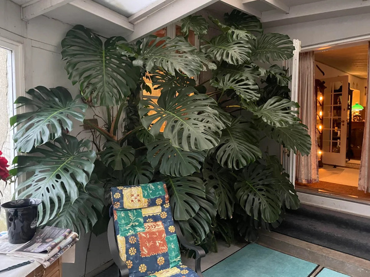 Illustration de l'article : 20 photos of fascinating finds discovered during renovations