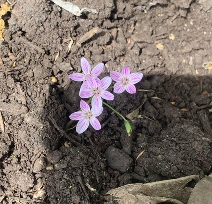 Illustration de l'article : 19 photos that illustrate the beauty of nature