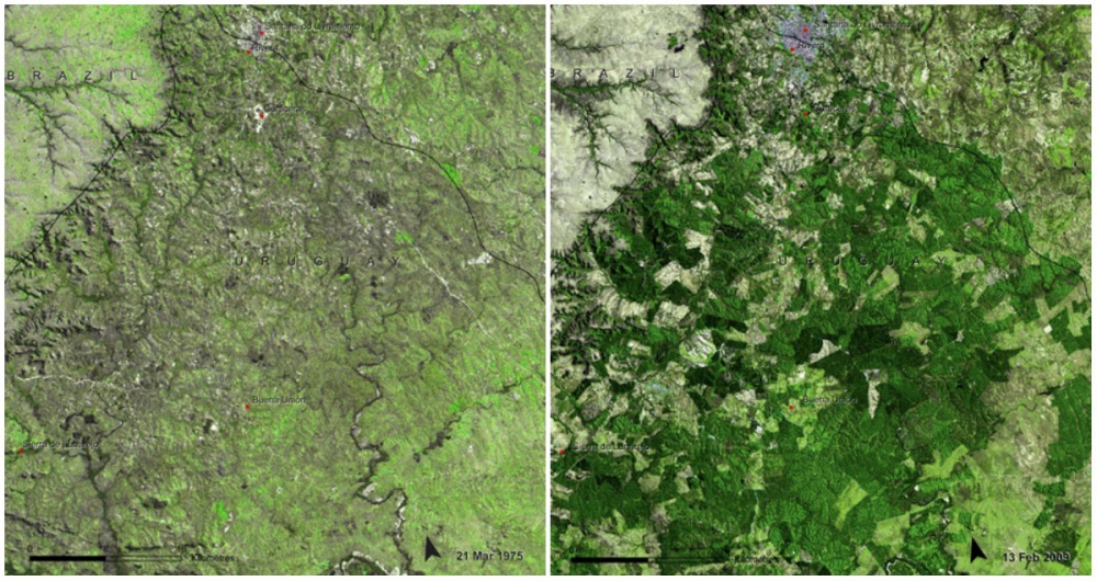 Illustration de l'article : The Earth before and today: NASA unveils some unprecedented pictures of the dramatic changes in our planet
