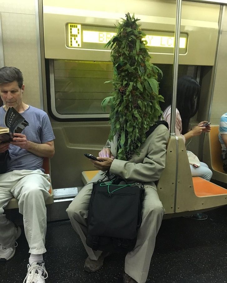 Illustration de l'article : 17 characters and creatures seen on the subway