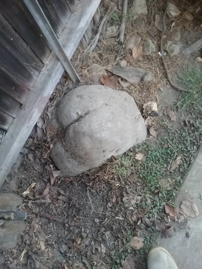 Illustration de l'article : Check out these 24 unnerving optical illusions