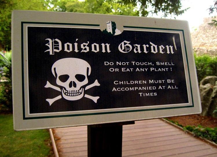 Illustration de l'article : 15 photos of the world's most dangerous garden