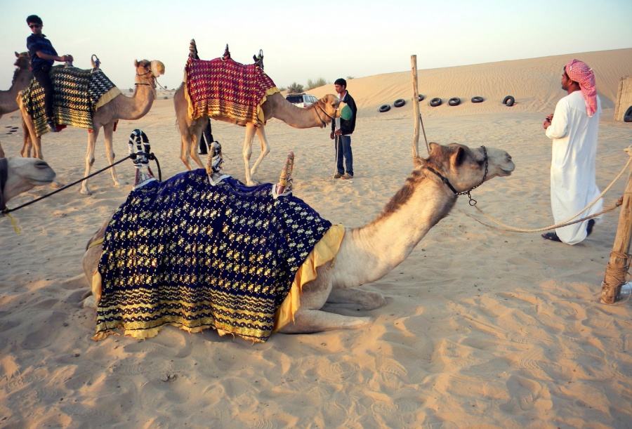 Illustration de l'article : 25 photos you’ll have to look at twice to understand