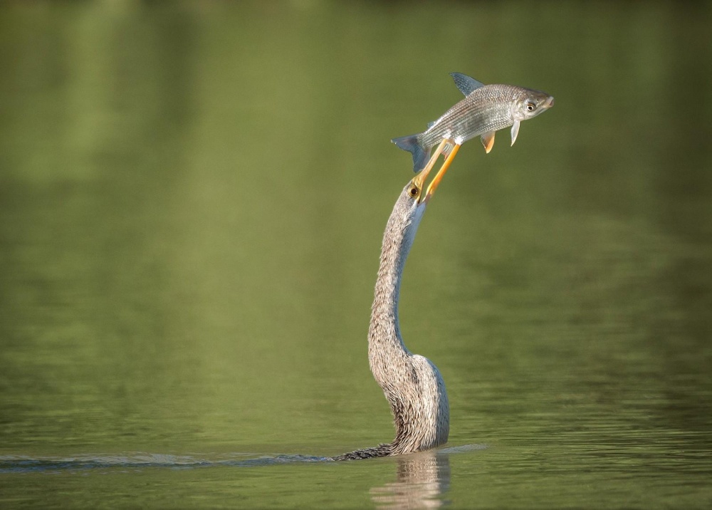 Illustration de l'article : 21 unlikely photos taken just before a catastrophe!