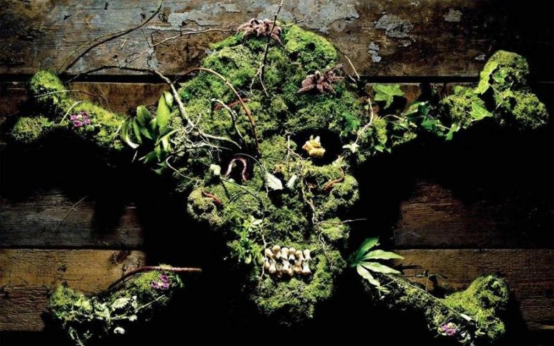 Illustration de l'article : 15 photos of the world's most dangerous garden