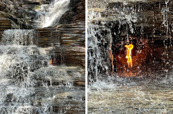 Illustration de l'article : 16 weird and wonderful photos of nature