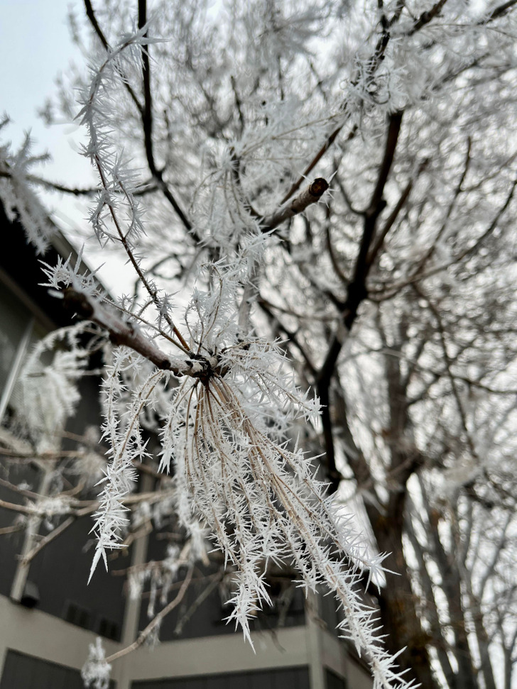 Illustration de l'article : 20 photos that illustrate the beauty of icy winters