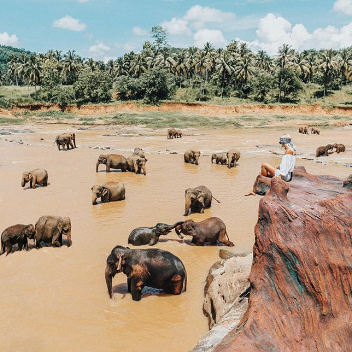 Illustration de l'article : This couple earns up to ,000 per photo on Instagram while traveling, and this is how they do it!