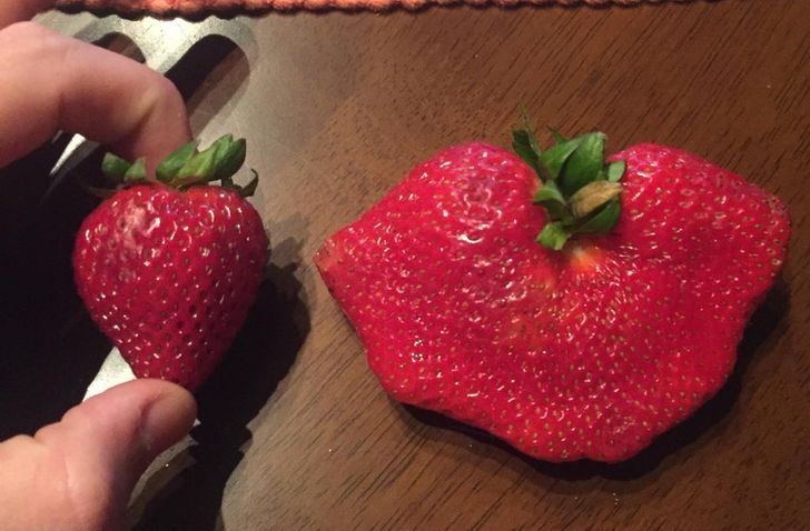 Illustration de l'article : 14 fascinating comparisons