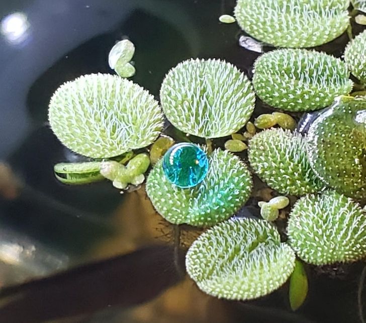 Illustration de l'article : 19 photos of masterpieces in the most unexpected places