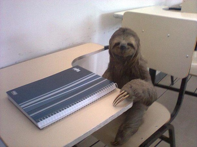 Illustration de l'article : 22 surprising and strange photos that will leave you feeling puzzled