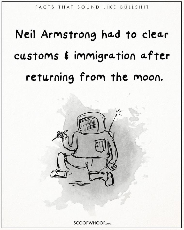 Illustration de l'article : 22 crazy but totally true facts illustrated with drawings!