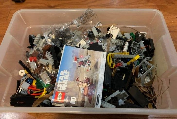 Illustration de l'article : 20 photos of valuable objects recovered from dumpsters