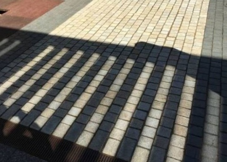 Illustration de l'article : 29 satisfying photos of perfection