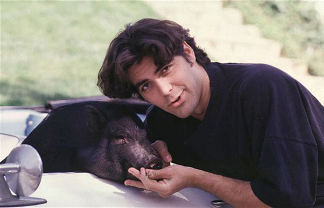 Illustration de l'article : Which of these 12 celebrity pets is the most unusual?