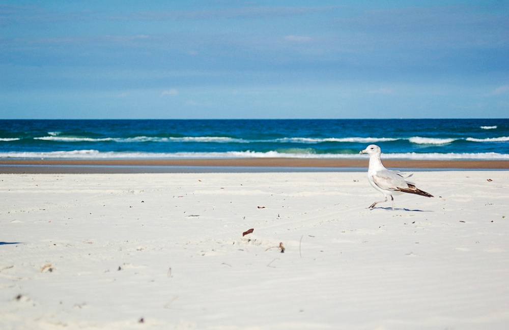 Illustration de l'article : 10 beautiful beaches to avoid like the plague