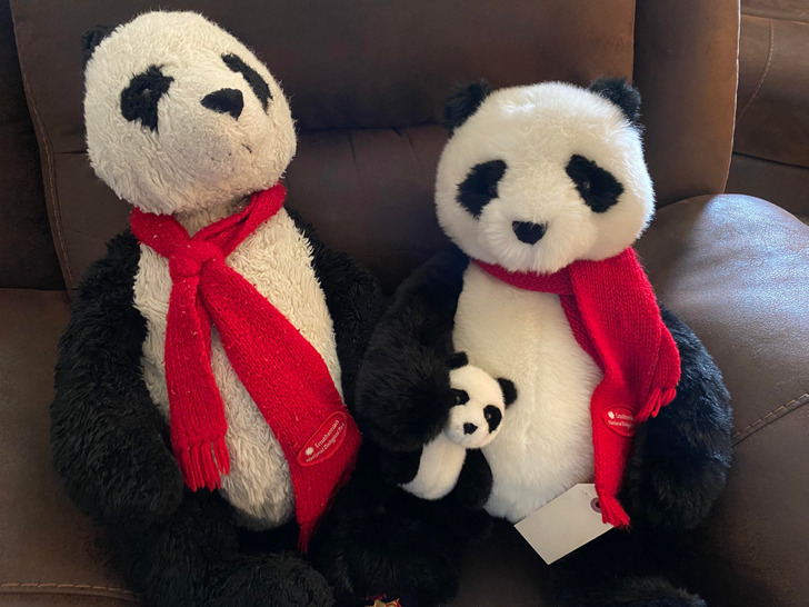 Illustration de l'article : 20 cool old versus new photos